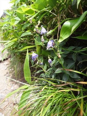 180902-215656_R.JPG