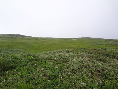 DSC00103.jpg
