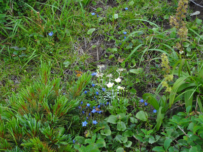 DSC00104.jpg