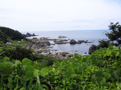 DSC00110.jpg