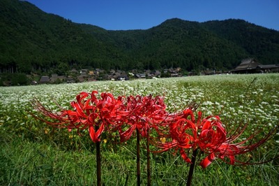 DSC00159.jpg