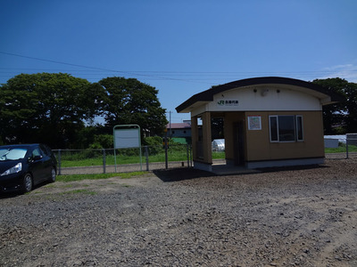 DSC00241.jpg