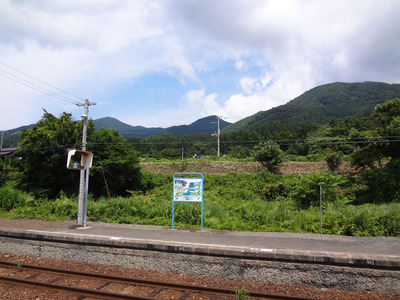 DSC00250.jpg
