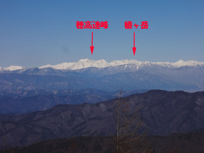 DSC01372.jpg
