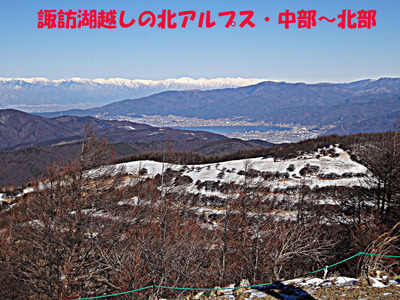 DSC01381.jpg