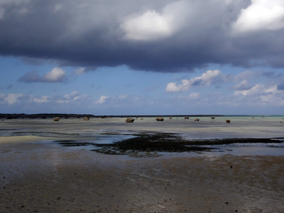 DSC01440.jpg