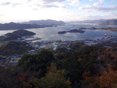 DSC02109.jpg