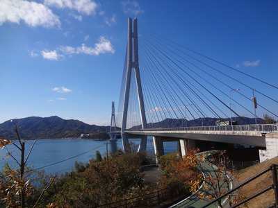 DSC02168.jpg