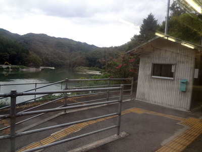 DSC03115.jpg