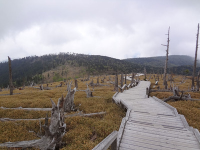 DSC03745.jpg