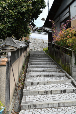 DSC_2847.jpg