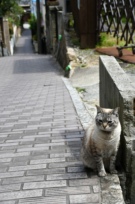 DSC_2876.jpg