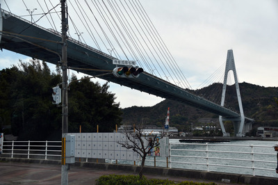 DSC_2966.jpg