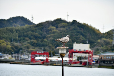 DSC_2989.jpg