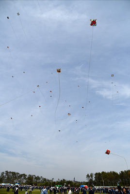 DSC_3311.jpg