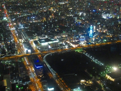 夜天王寺公園.jpg