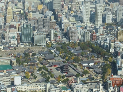 昼四天王寺.jpg