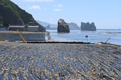 海岸線2.jpg