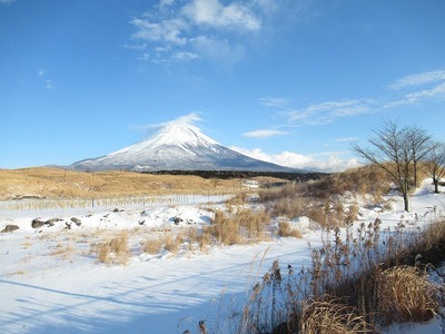 竜ヶ岳 (23).jpg