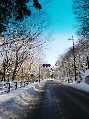竜ヶ岳 (26).jpg