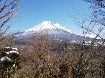 竜ヶ岳 (29).jpg