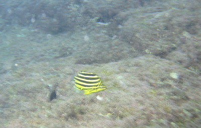IMG_0270.JPG