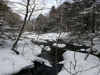 IMG_20180104_101531_R.jpg