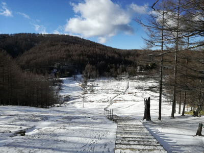 IMG_20190103_140827.jpg