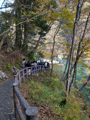 IMG_20211117_132626406_HDR.jpg