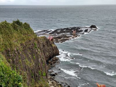 IMG_20230815_115836165_HDR.jpg