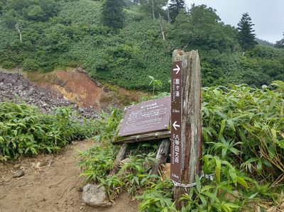 IMG_20230818_085550938_HDR.jpg