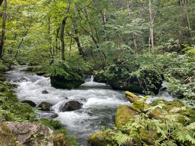 IMG_20230818_143407812_HDR.jpg