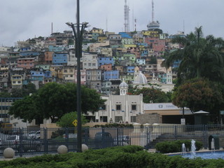 IMG_6367.jpg