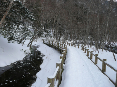 P1000665.jpg
