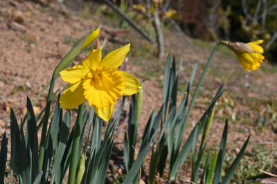 Z50_0196.jpg