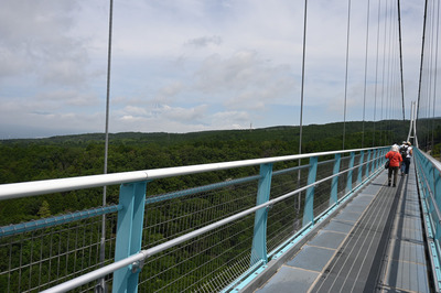 Z50_0382.jpg