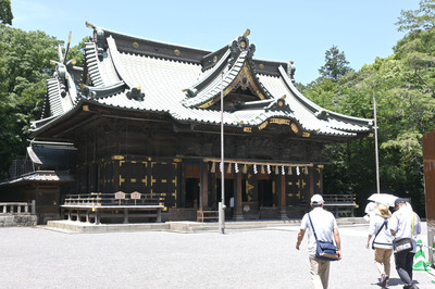 Z50_0423.jpg
