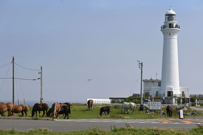 Z50_0571.jpg