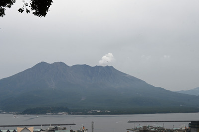Z50_1745.jpg