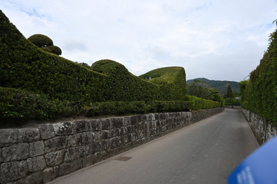 Z50_1790.jpg