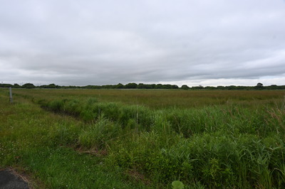 Z50_2667.JPG