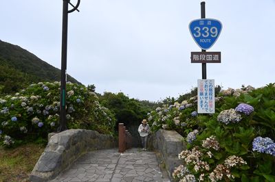 Z50_4266.jpg