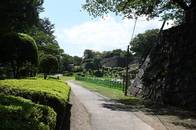 Z50_4427.jpg