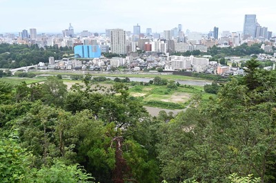 Z6A_1038.jpg
