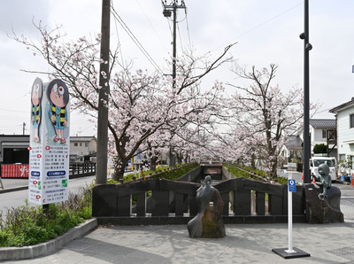 Z6A_1554.jpg